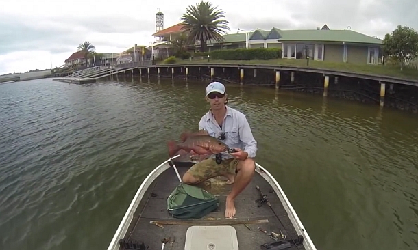 Video: Gold Coast jacks on plastic